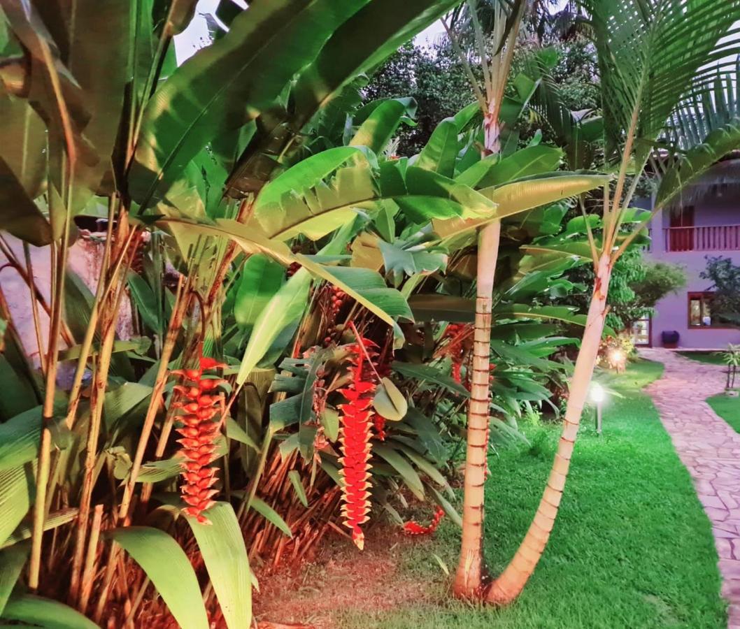 Pousada Recanto Otel Araquari Dış mekan fotoğraf